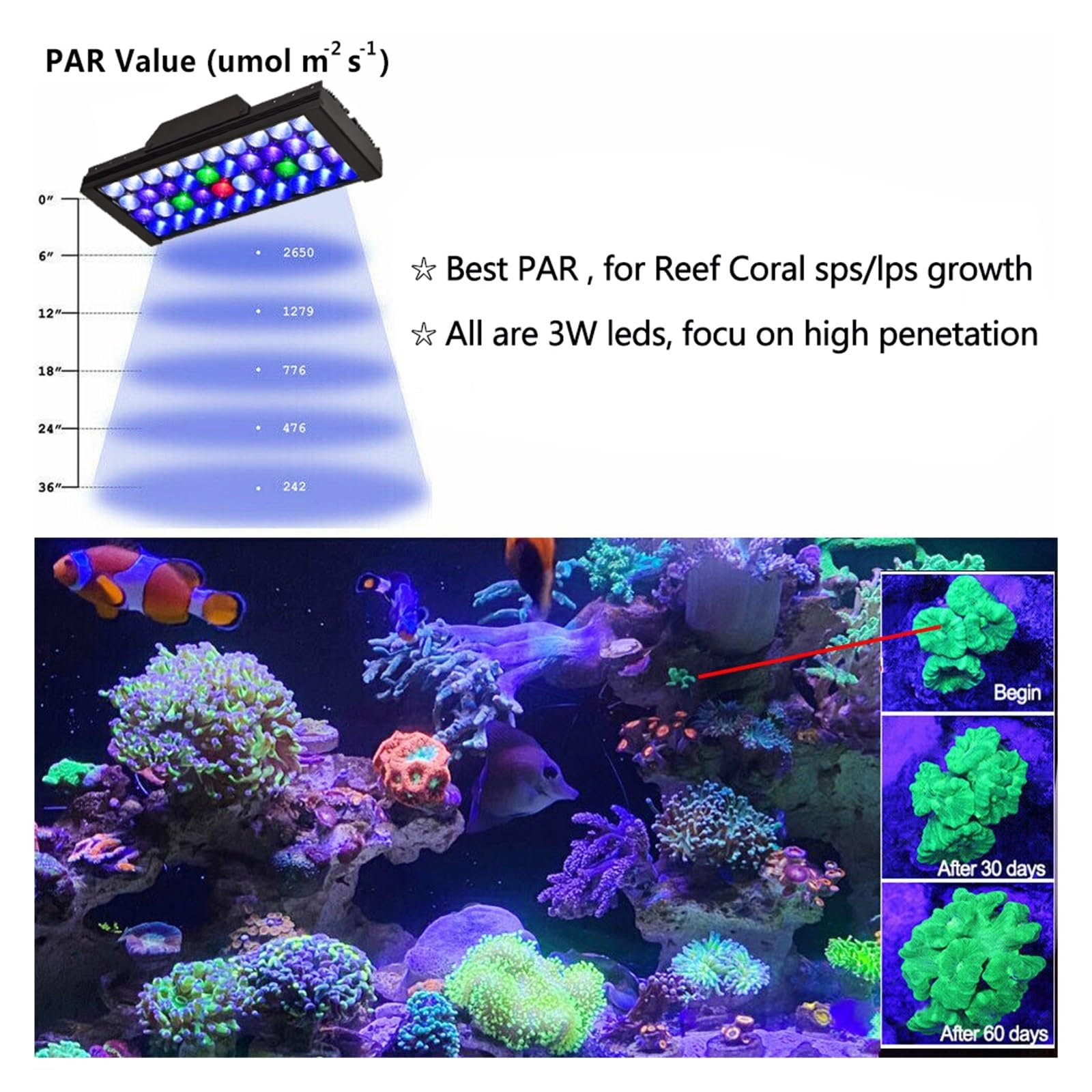 Amazon.co.jp: led アクアリウム ライト、 水族館 LED ライト、LED